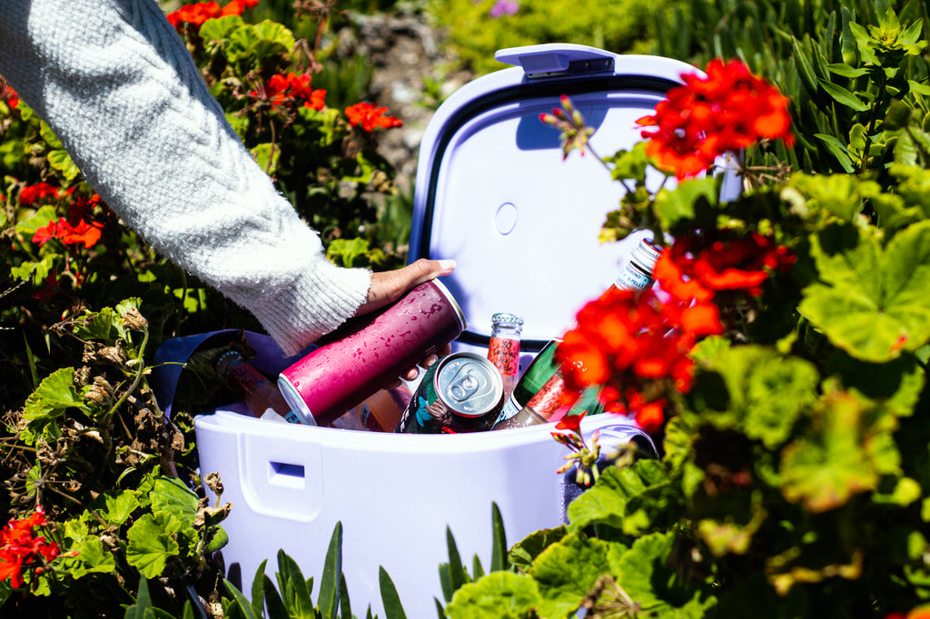 How to Chill Beer Fast CORKCICLE.