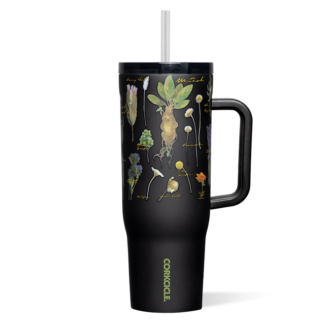 Harry Potter Cruiser